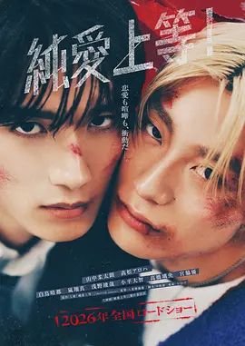 纯爱上等海报